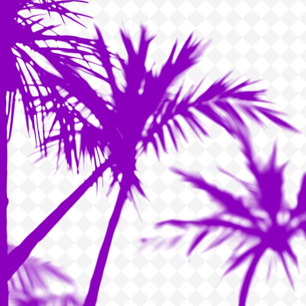 Coconut palm schaduwen gieten lange slanke lijnen zachte focus met zachte vervaging kust