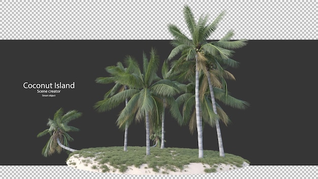 Albero di cocco in rendering 3d isolato sull'isola