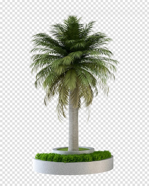 Alberi di cocco nel rendering 3d