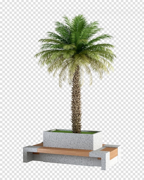 Alberi di cocco nel rendering 3d