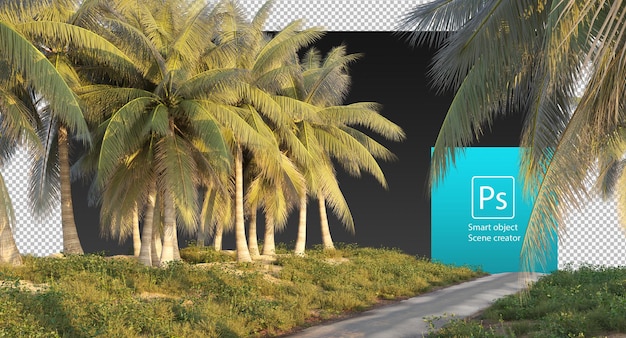 coconut trees and small plants and shrubs along the roadside
