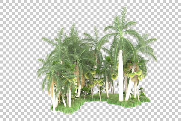 Coconut trees on a transparent background