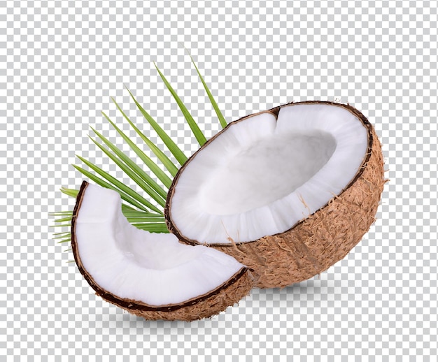 Coconut with leaves isolated premium psd