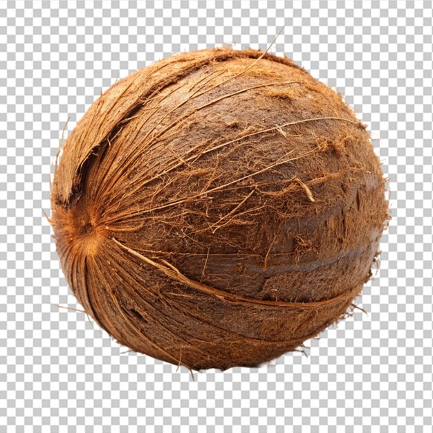 Coconut with leaves isolated on transparent background