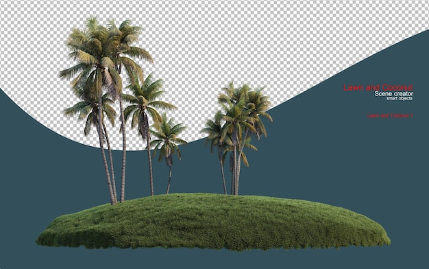 Coconuts on different levels of green lawn