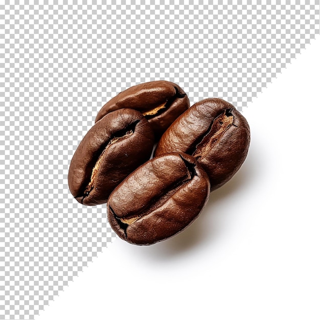 PSD coffee bean isolated on transparent background