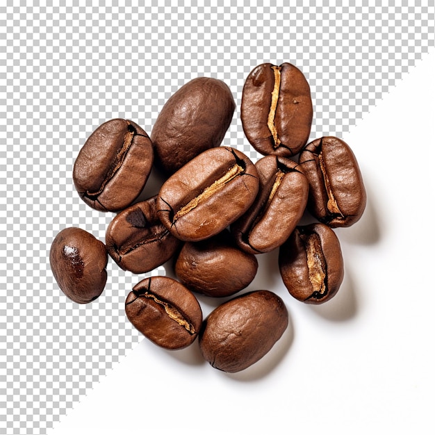 PSD coffee bean isolated on transparent background