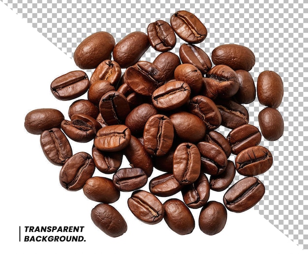 Coffee bean isolated