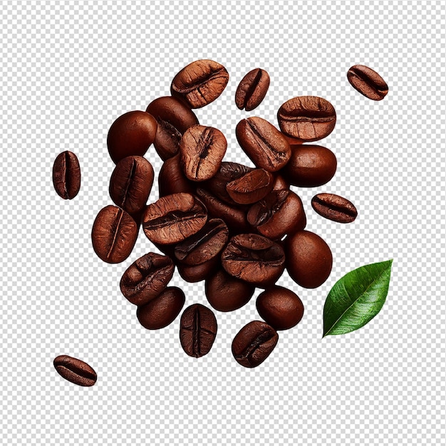 A coffee bean with a green leaf on it