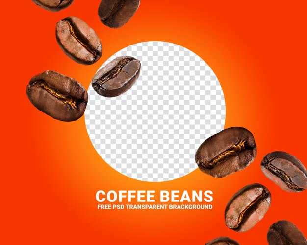 Coffee beans falling transparent background