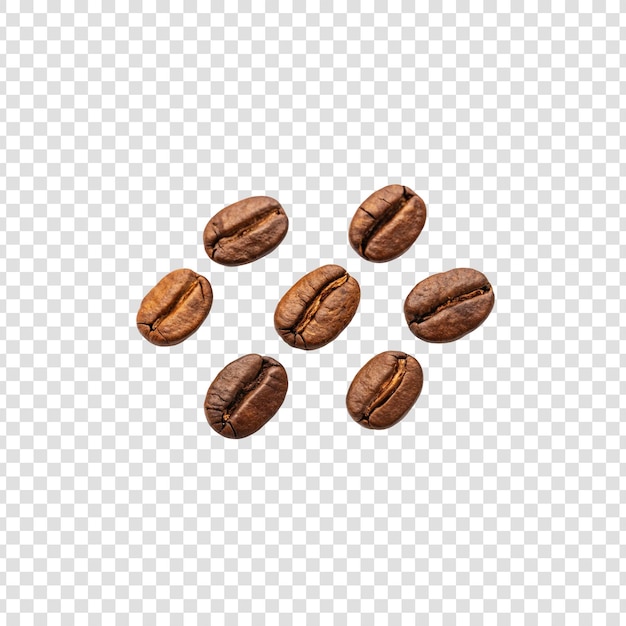 コーヒー豆を白い背景に分離する