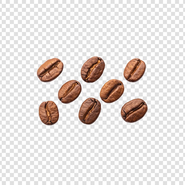 コーヒー豆を白い背景に分離する