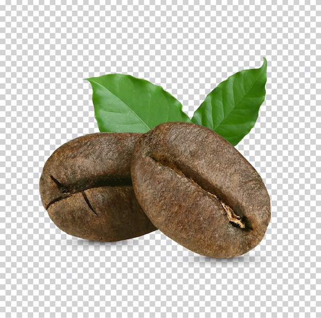 Coffee beans and leaves fresh isolated on white backgroundpremium PSD