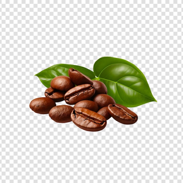 Coffee beans with green leaves isolated on a white background