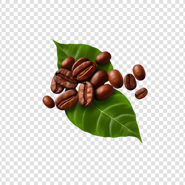 PSD coffee beans with green leaves isolated on a white background