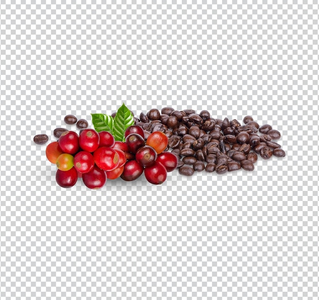 Coffee beans with leaves isolated premium psd