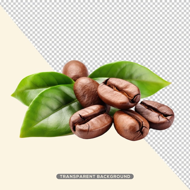 PSD a coffee beans with leaves that says transparent background.