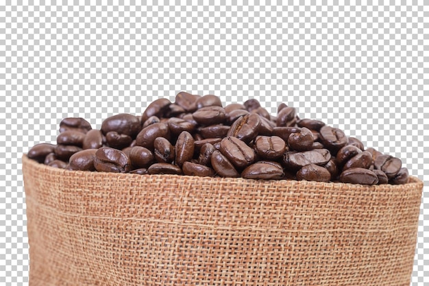 PSD コーヒー豆
