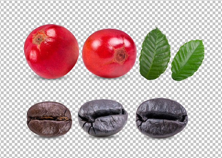 PSD coffee isolated on alpha layer