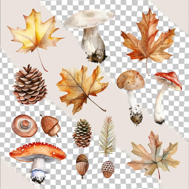 A collage of different types of autumn and autumn items