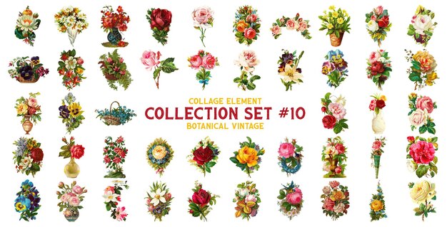 PSD collage element botanical collection set vintage watercolor clip art