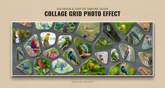Un effetto fotografico a griglia collage viene mostrato su una copertina.