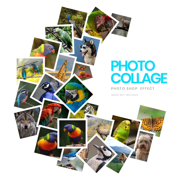 PSD collagecraft pro advanced photo collage toolkit (усовершенствованный набор инструментов для коллажа фотографий)
