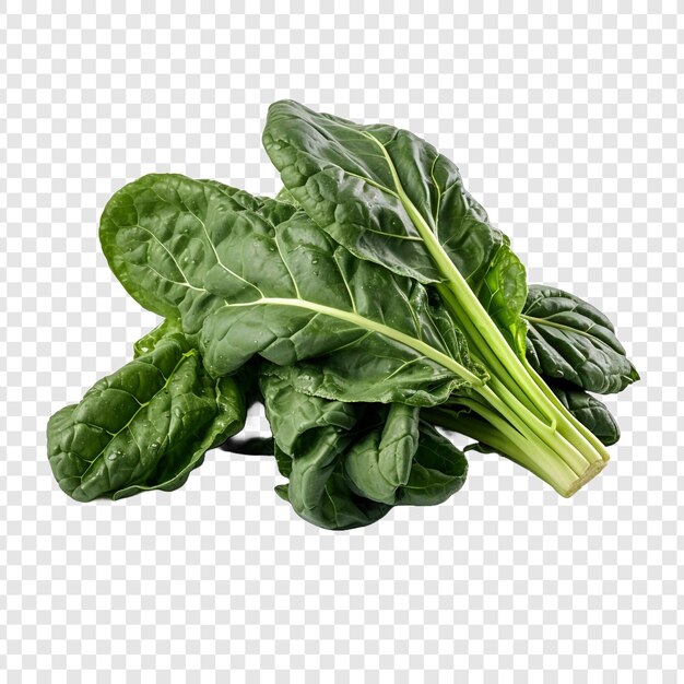 PSD collard greens isolated on transparent background