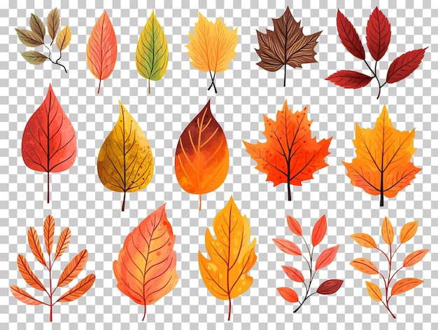 PSD collectie set van waterverf herfst bladeren geïsoleerd op transparante achtergrond png psd