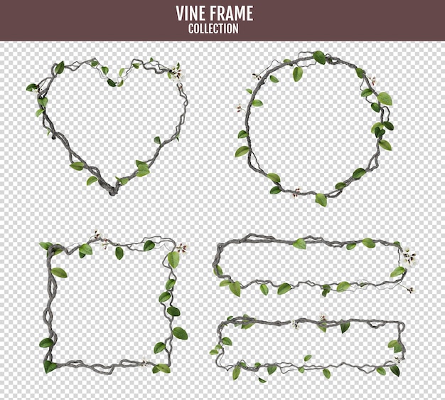 collectie vintage wijnstokken bloemen ronde en hart frames groene decoratieve klimop krans