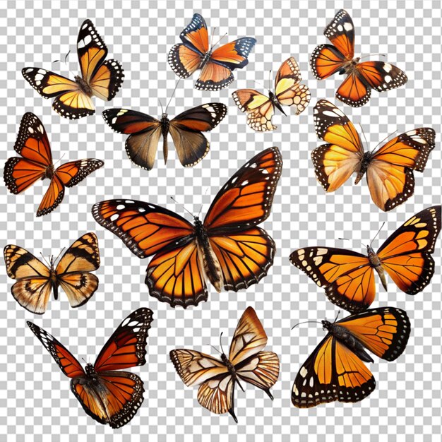 PSD collection of different watercolor butterflies on transparent background