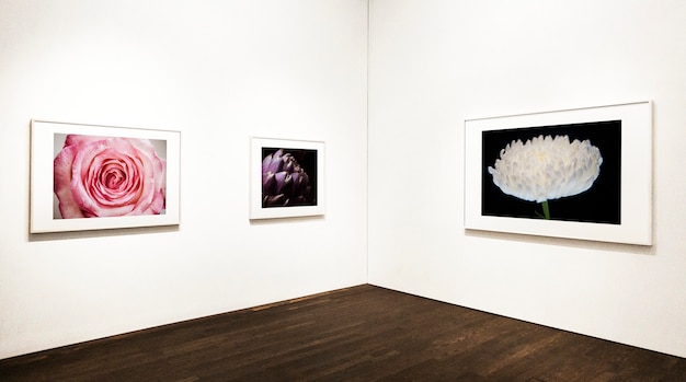 collection of floral art pieces on the wall