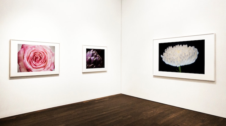 PSD collection of floral art pieces on the wall