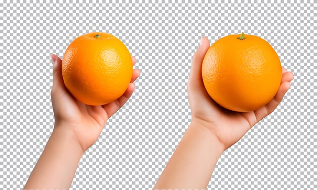 PSD collection of hand holding orange fruits isolated on a transparent background