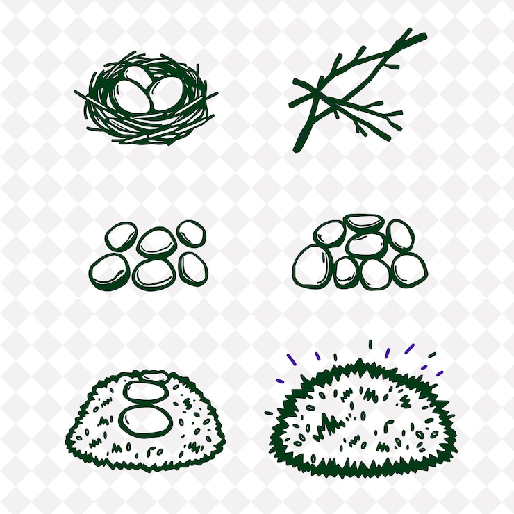PSD a collection of images of a hedgehog and a hedgehog