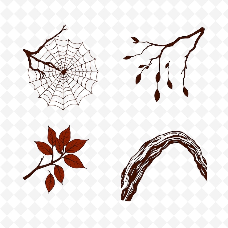 PSD a collection of images of spiders and spiders on a white background