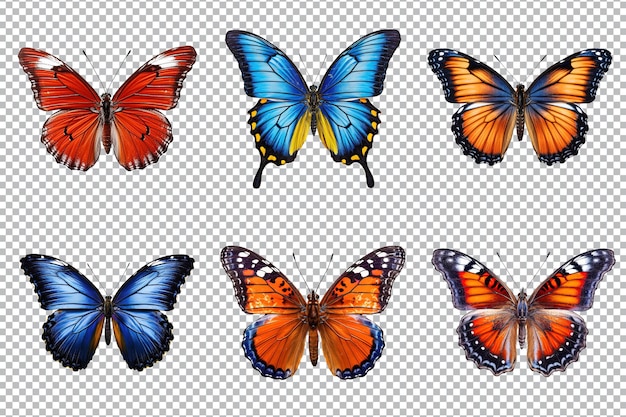 PSD collection of multicolored butterflies isolated on transparent background