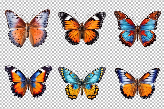 PSD collezione di farfalle multicolori isolate su sfondo trasparente