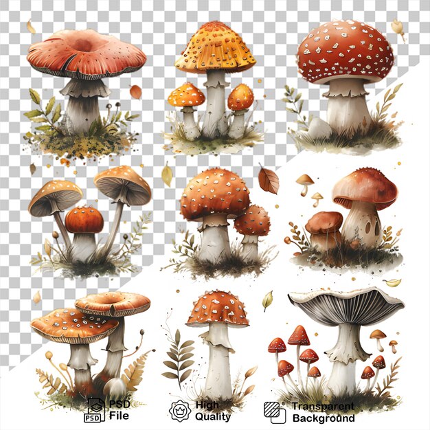 PSD a collection of mushrooms stickers isolated on transparent background