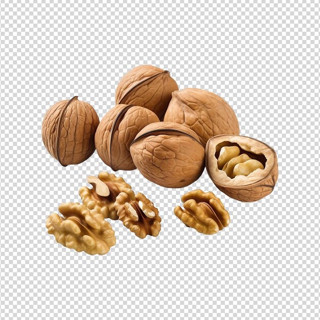 A collection of nuts walnuts isolated on a white background