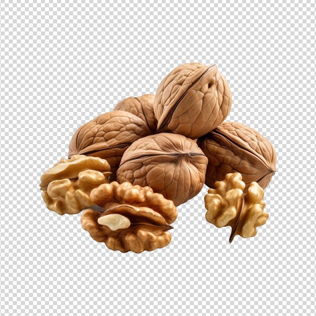 A collection of nuts walnuts isolated on a white background