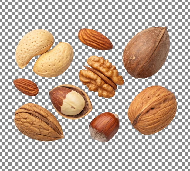 collection of nuts