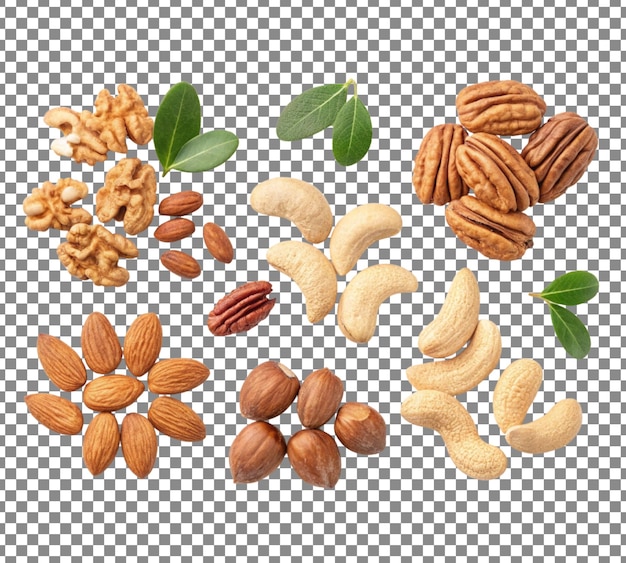 collection of nuts