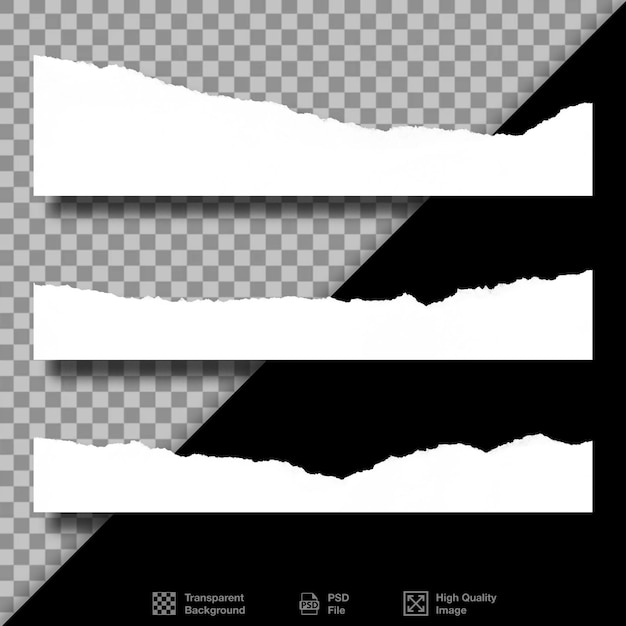 Collection of Torn Paper Strips with Transparent Background