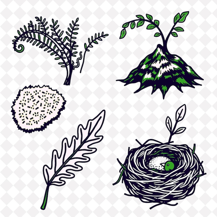 PSD a collection of plants and flowers on a white background