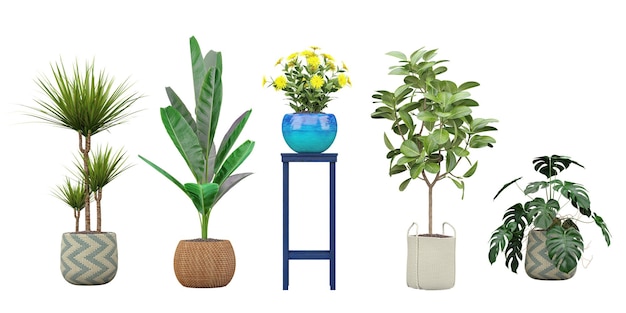 A collection of plants including a plant on a blue stool.