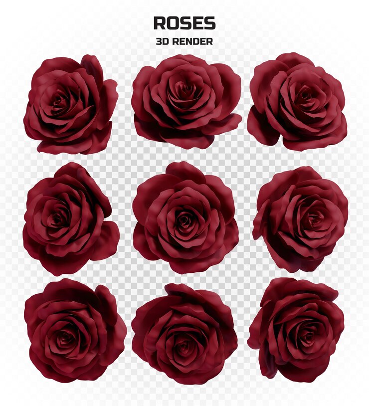 PSD collection of realistic 3d render burgundy roses in high resolution with many perspectives