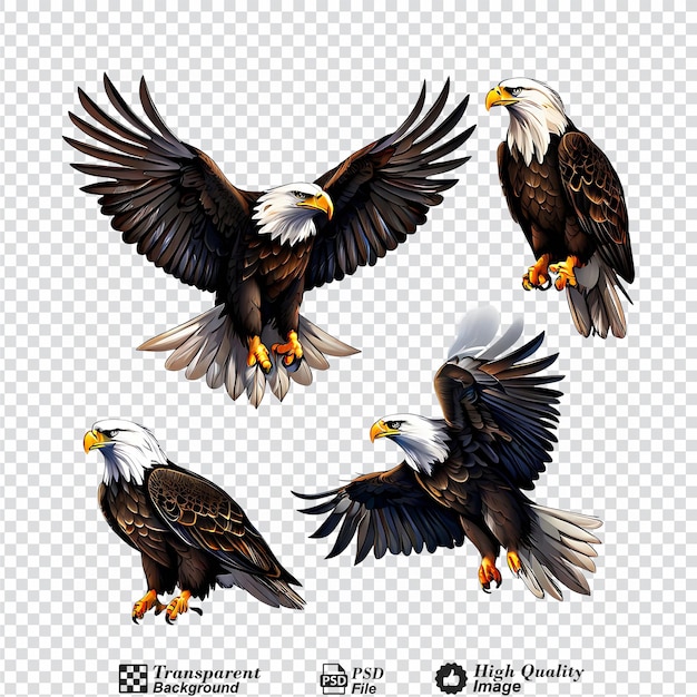 PSD collection set of a bald eagle in various flight positions object on plain color background
