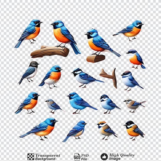 PSD collection set of bluefronted redstart birds isolated on transparent background