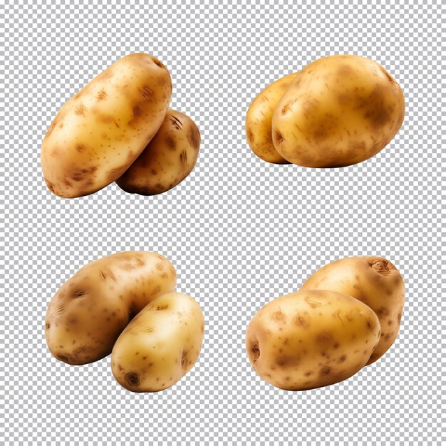 PSD collection set of fresh raw potatoes isolated on a transparent background